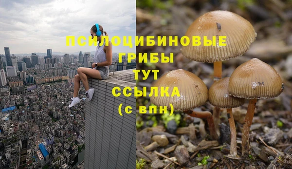 2c-b Алзамай
