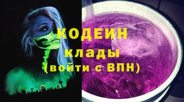 молекула духа Алексин