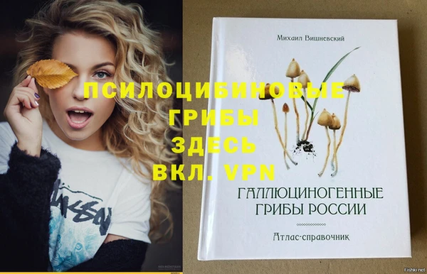 спайс Алексеевка