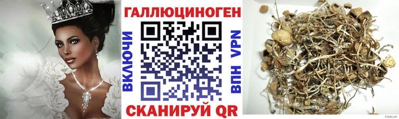 как найти закладки  Данков  Галлюциногенные грибы ЛСД 